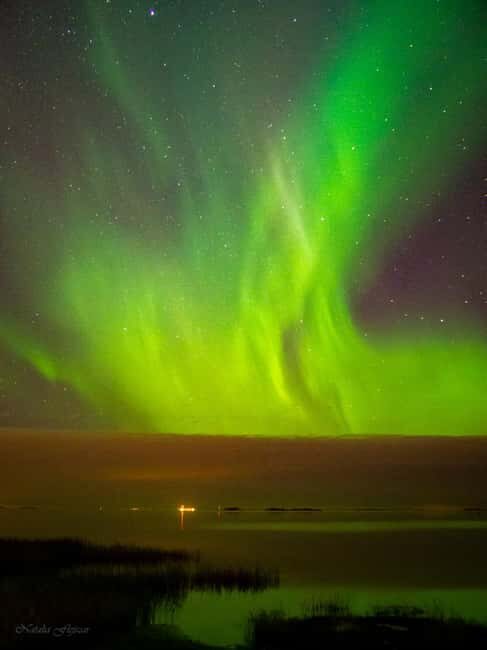 From Oulu to Lapland: Northern Lights Hunting Tour - Who Will Love This Tour?
