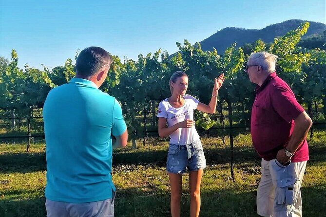 From Padua, Wine Tour in the Euganean Hills - Authentic and Enjoyable: A Tour for the Curious and the Connoisseur