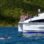 From Paihia: Day in the Bay - Full-Day Bay of Islands Cruise - Exploring the Full-Day Bay of Islands Cruise