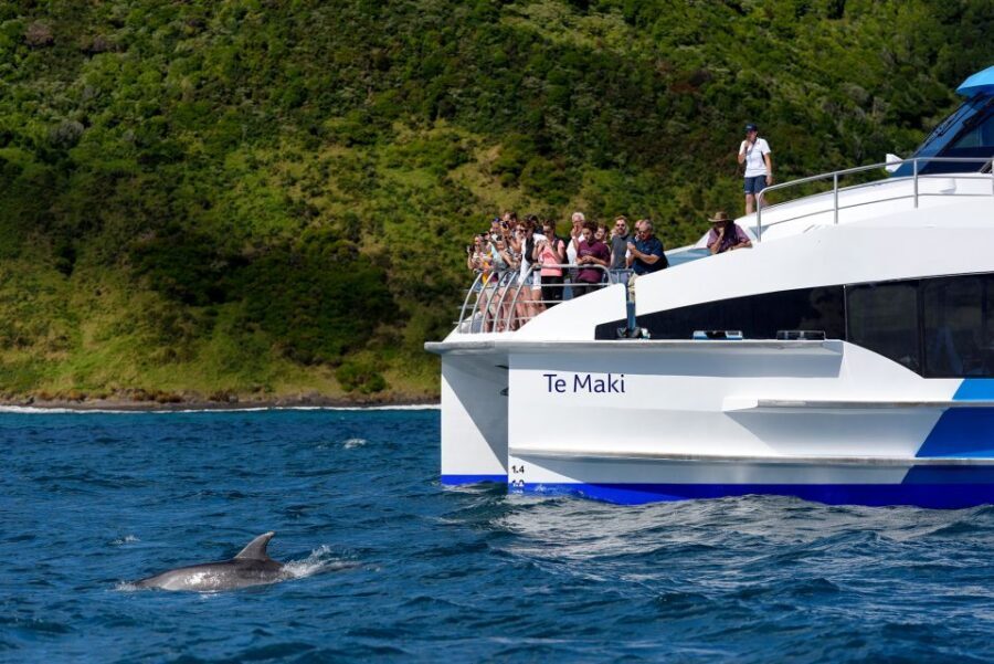 From Paihia: Day in the Bay - Full-Day Bay of Islands Cruise - Exploring the Full-Day Bay of Islands Cruise