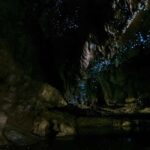 From Paihia: Kawiti Glowworm Caves Guided Tour - FAQs