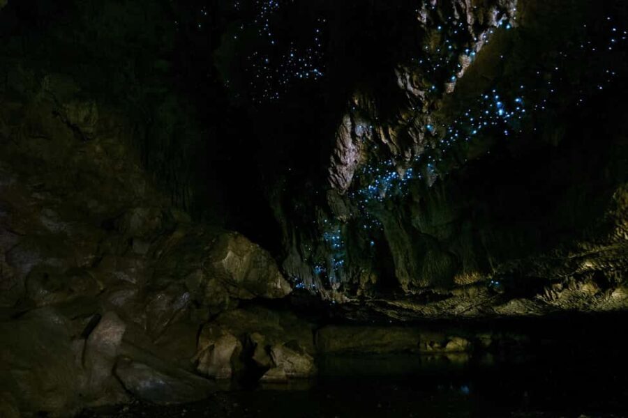 From Paihia: Kawiti Glowworm Caves Guided Tour - FAQs