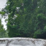 From Palenque: Palenque and Roberto Barrios Waterfalls Tour - Discovering the Archaeological Zone of Palenque