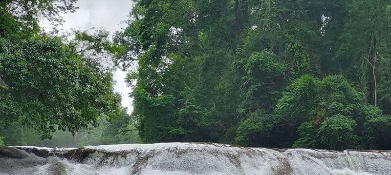 From Palenque: Palenque and Roberto Barrios Waterfalls Tour - Discovering the Archaeological Zone of Palenque