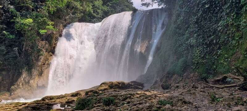 From Palenque: Roberto Barrios and El Salto Waterfalls Tour - What Makes This Tour Stand Out?