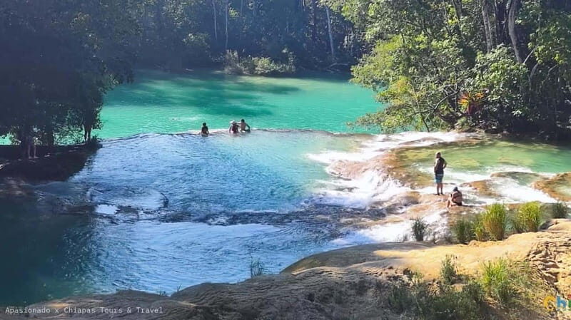 From Palenque: Tour of the Roberto Barrios Waterfalls - Who Should Consider This Tour?
