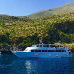 From Palermo center: Favignana and Levanzo Boat tour - What We Love About This Tour