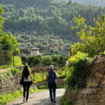 From Palma: Sierra de Tramuntana Hiking with small Picnic - A Deep Dive into the Sierra de Tramuntana Hiking Tour