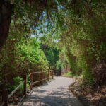 From Paphos: Blue Lagoon and Baths of Aphrodite Day Trip - The Value for Travelers: Why This Tour Works