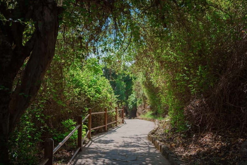 From Paphos: Blue Lagoon and Baths of Aphrodite Day Trip - The Value for Travelers: Why This Tour Works