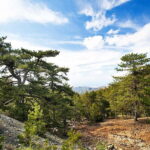 From Paphos: Caledonia Waterfalls Walking Tour with Lunch - Who Will Love This Tour?