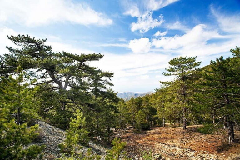 From Paphos: Caledonia Waterfalls Walking Tour with Lunch - Who Will Love This Tour?