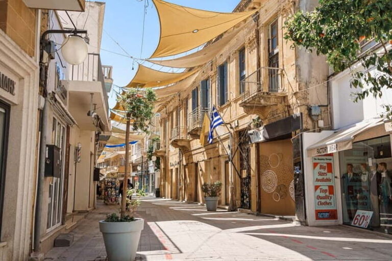 From Paphos: Larnaca Highlights Tour with Lefkara & Nicosia - The Transport and Guides