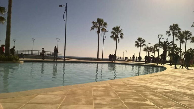 From Paphos: Limassol Experience - The Experience in Practice: What You’ll Feel and See