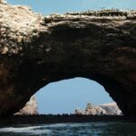 From Paracas: Ballestas Islands tour all Inclusive - What to Expect During the Tour