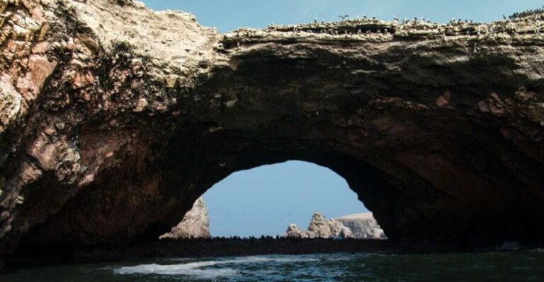 From Paracas: Ballestas Islands tour all Inclusive - What to Expect During the Tour