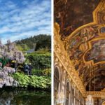 From Paris: Full day in Giverny & Versailles - Private Tour - What Makes This Tour Stand Out?