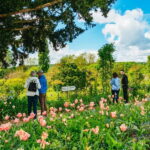 From Paris: Giverny, Monets House, & Gardens Half-Day Trip - Frequently Asked Questions