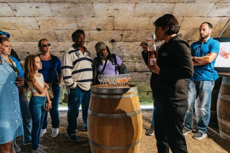 From Paris: Loire Valley Castles Day Trip With Wine Tasting - Authentic Experiences and Considerations