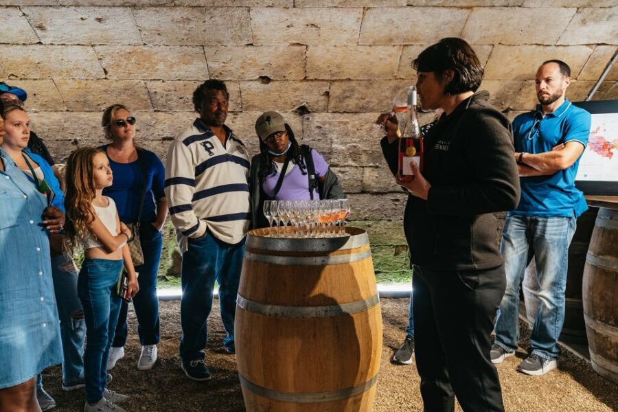 From Paris: Loire Valley Castles Day Trip With Wine Tasting - Authentic Experiences and Considerations