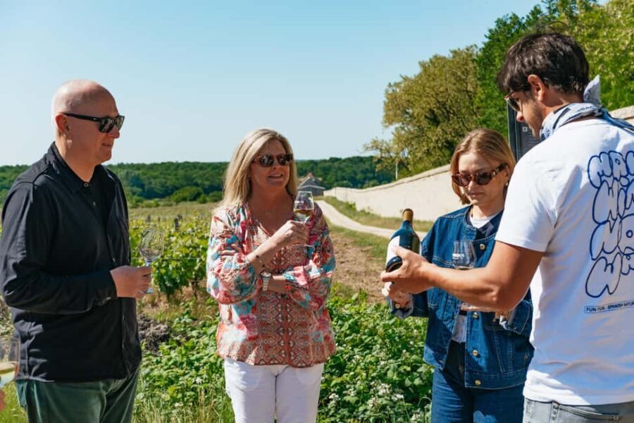 From Paris: Loire Valley Chambord Castle and Wine Tasting - Exploring the Loire Valley: A Rich Tapestry of History and Wine