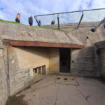 From Paris: Normandy D-Day Beaches Full-Day Historical Tour - Final Thoughts on Value and Experience
