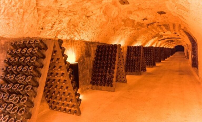 From Paris: Private Champagne tour, Veuve Clicquot and more - An In-Depth Review of the Private Champagne Experience