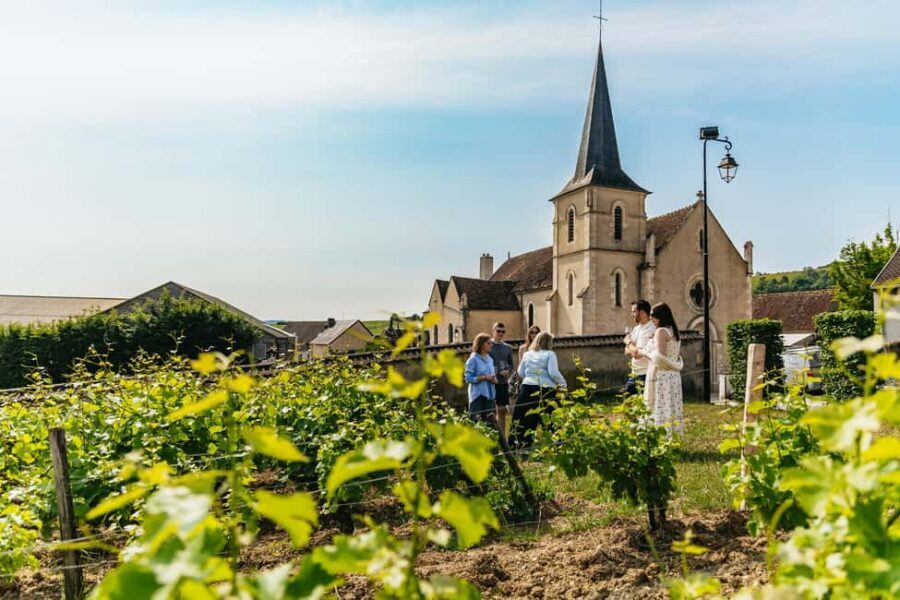 From Paris: Private Sancerre Wine Tour w 10 Tastings & Lunch - Why This Tour Offers Great Value