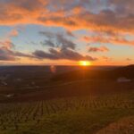 From Paris: Reims Cathedral, Champagne Cellar, and Tasting - What Makes This Tour Stand Out?