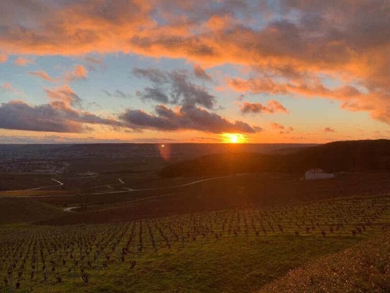 From Paris: Reims Cathedral, Champagne Cellar, and Tasting - What Makes This Tour Stand Out?