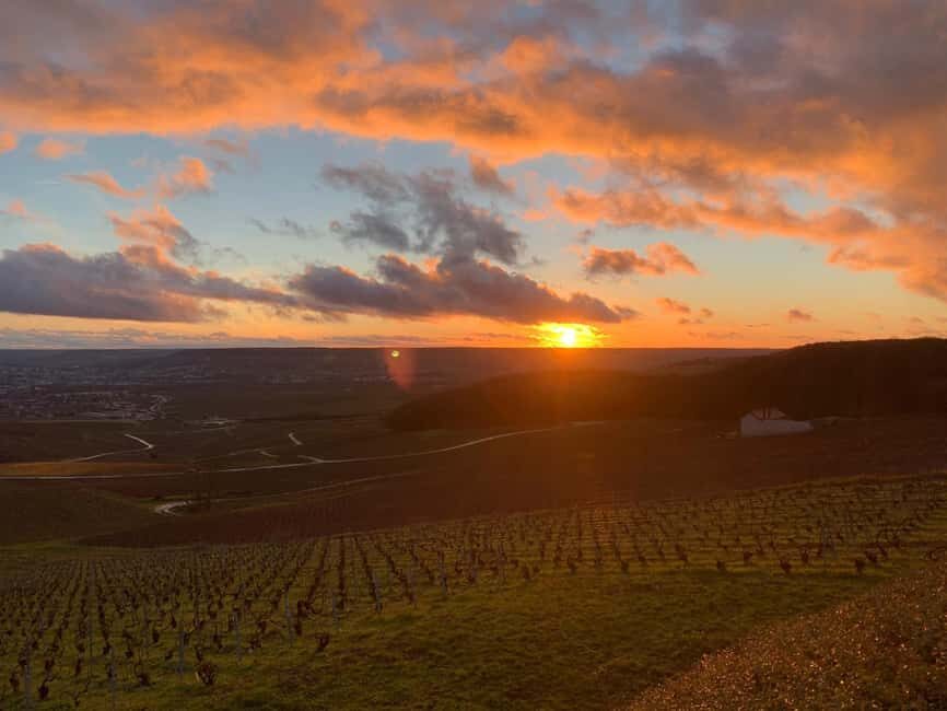 From Paris: Reims Cathedral, Champagne Cellar, and Tasting - What Makes This Tour Stand Out?