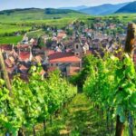 From Paris: Small-Group Champagne Day Trip with Six Tastings - Frequently Asked Questions