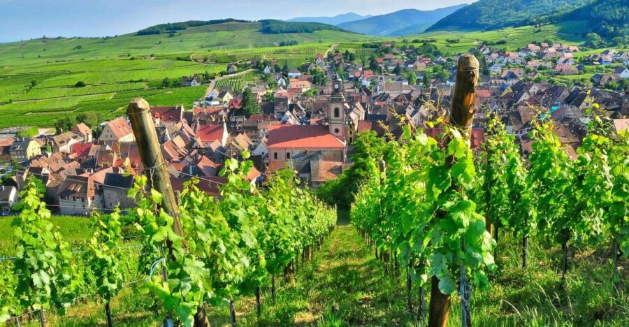 From Paris: Small-Group Champagne Day Trip with Six Tastings - Frequently Asked Questions