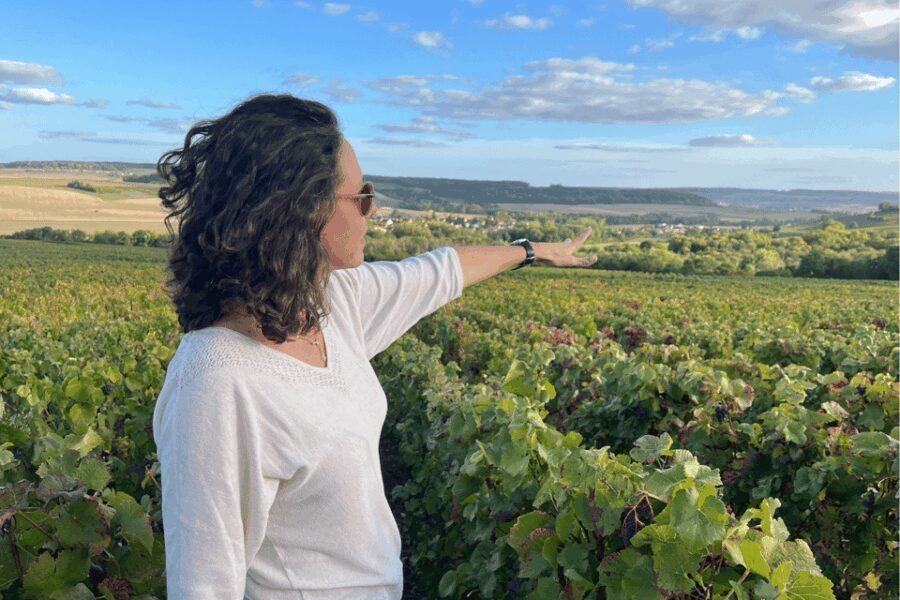 From Paris: Wine Day trip to SANCERRE w 10 Tastings & Lunch - A Deep Dive into the Experience