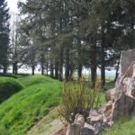From Paris: WWI Somme Battlefields Full-Day Tour - The Lochnagar Crater and Other Notable Sites