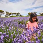 From Penneshaw - A Tasting Of Kangaroo Island - A Detailed Look at the Tour Experience