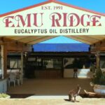 From Penneshaw: Kangaroo Island Sights and Wildlife Tour - Final Thoughts