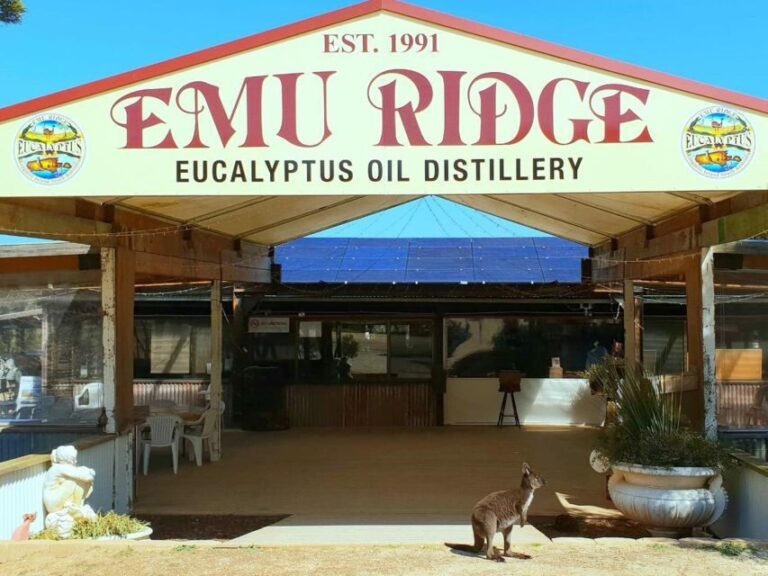 From Penneshaw: Kangaroo Island Sights and Wildlife Tour - Final Thoughts