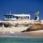 From Perth: Margaret River Wine Tour & Wildlife Cruise - Final Thoughts