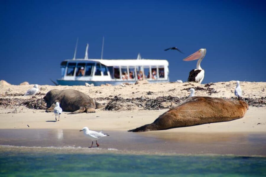 From Perth: Margaret River Wine Tour & Wildlife Cruise - Final Thoughts
