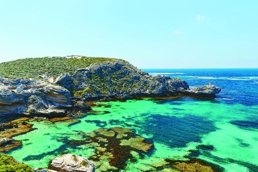 From Perth or Fremantle: Rottnest Explorer Segway Tour - Who Would Enjoy This Tour?