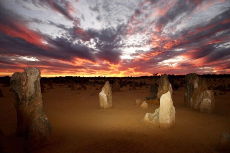 From Perth: Pinnacles Sunset and Stargazing Tour with Dinner - The Value of the Tour