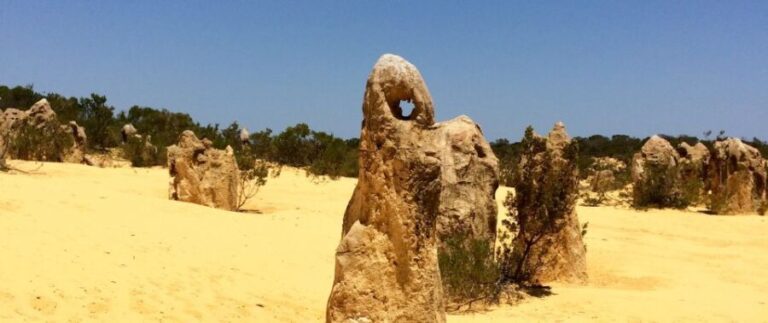 From Perth: Pinnacles Tour, Early Start, Avoid Crowds & Heat - What to Expect from This Pinnacles Tour