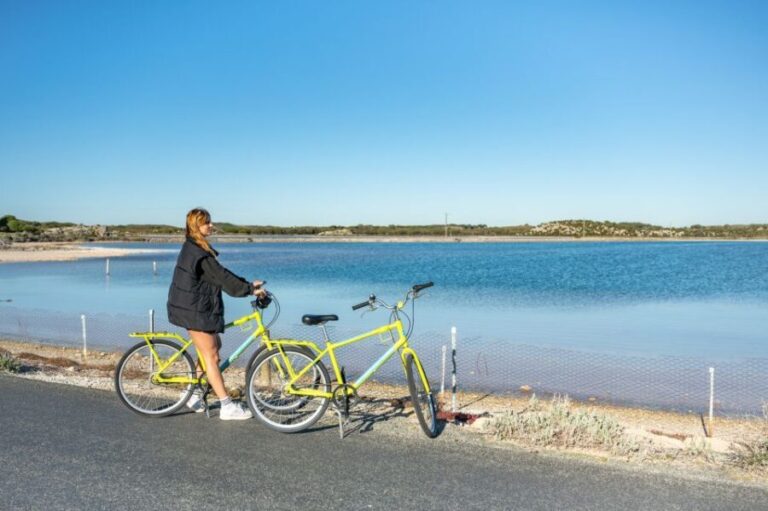 From Perth: Rottnest Island Full-Day Bike and Ferry Trip - A Deep Dive into the Experience