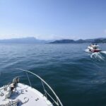 From Peschiera: Cruise on the southern coast to Sirmione - Why This Tour Is Worth Considering