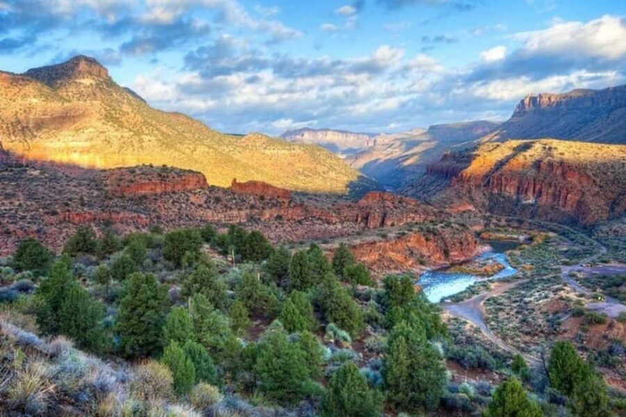 From Phoenix: Private Offroad Sonoran Desert and Sunset Tour - Who Should Consider This Tour?