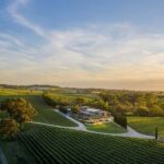 From Phoenix: Vortex to Vineyard Private Tour - An In-Depth Look at the Vortex to Vineyard Tour