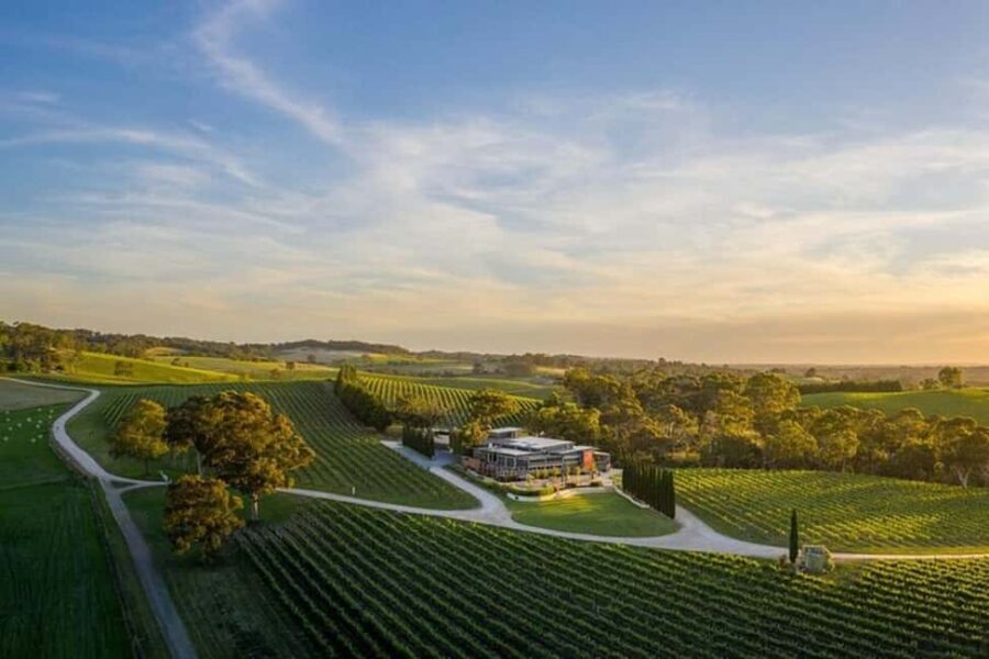 From Phoenix: Vortex to Vineyard Private Tour - An In-Depth Look at the Vortex to Vineyard Tour