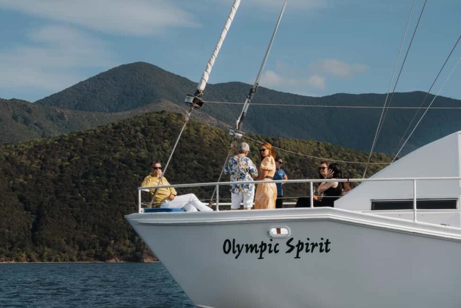 From Picton: Marlborough Sounds Cruise with Seafood - Authentic Experiences, Genuine Reviews
