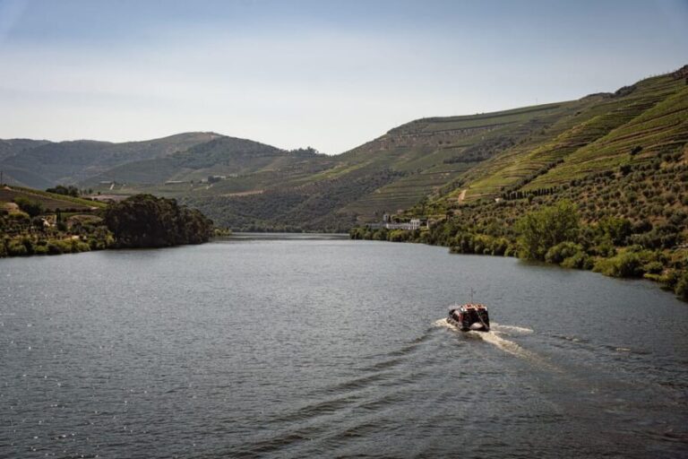 From Pinhão: Douro Valley Rabelo Boat Tour with Port Wine - A Detailed Look at the Douro Valley Rabelo Boat Tour